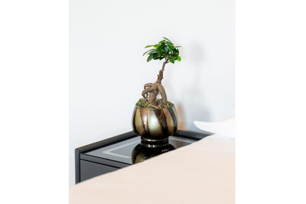 Bes Residence Bergamo Polaresco מראה חיצוני תמונה